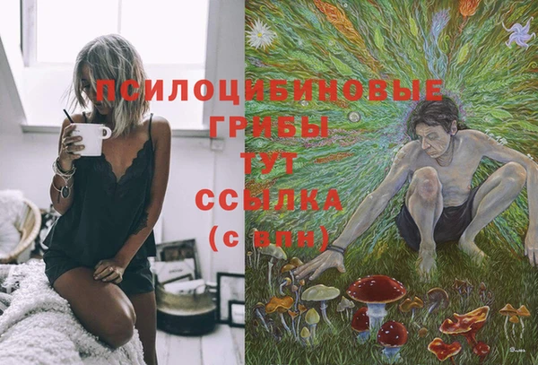 молекула духа Алзамай