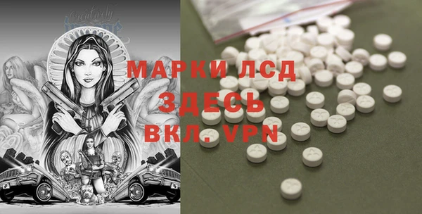PSILOCYBIN Баксан