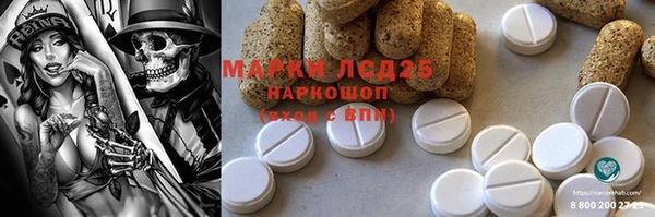 винт Бикин